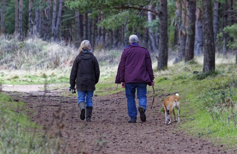 Many constituents are wondering if they can drive in order to walk their dogs