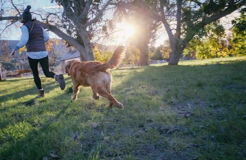 Person and Dog