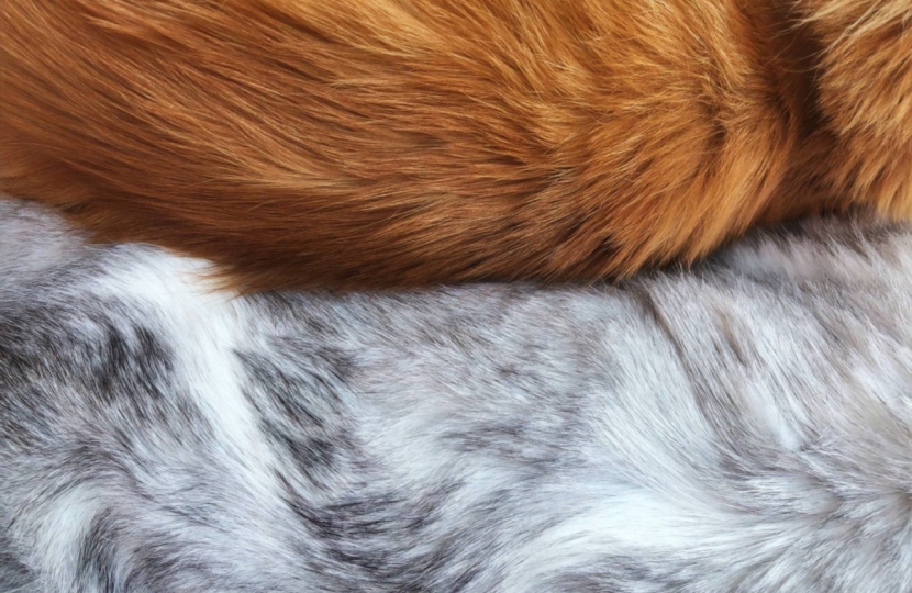 Animal Fur