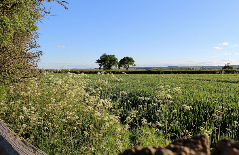 UK Farming Sustainable Farming Incentive