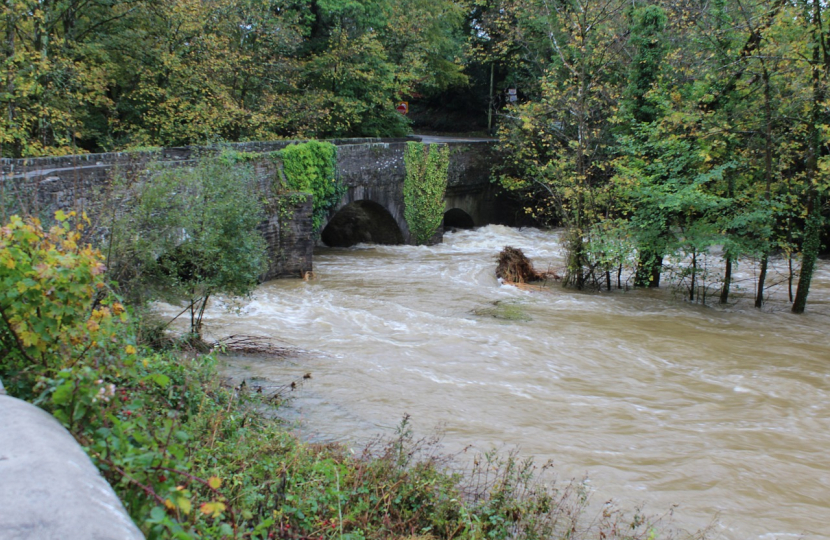 River flood