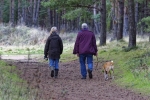 Many constituents are wondering if they can drive in order to walk their dogs