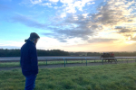 Manton gallops