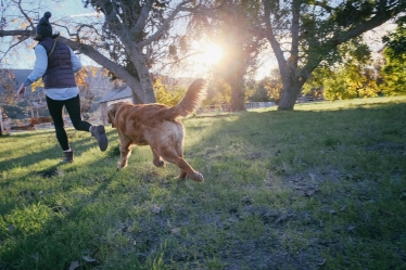 Person and Dog