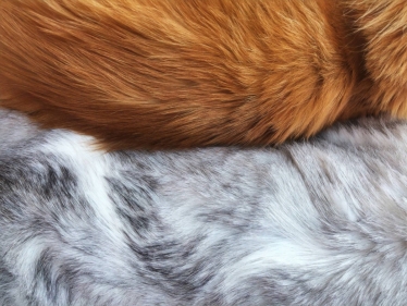 Animal Fur