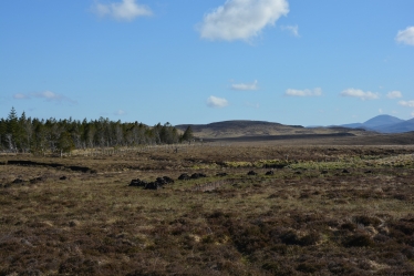 Peatland