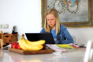 Girl with computer